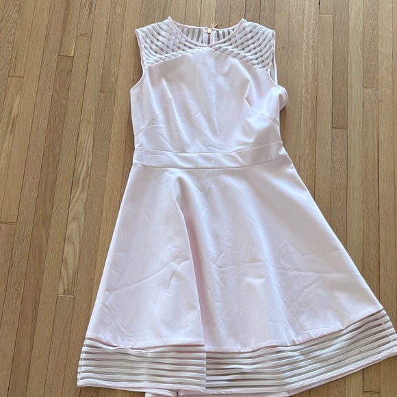 Ted Baker Dresses & Skirts - Ted Baker Pale Pink Dress with Sheer Stripe Accents 3